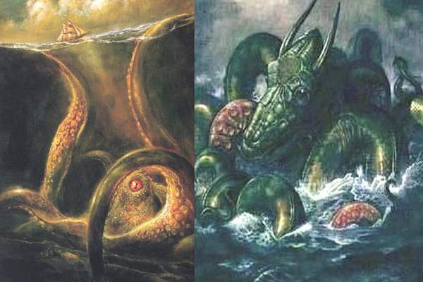 Kraken market place